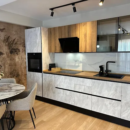 Luxury 2br With Free Parking Herastrau Apartment